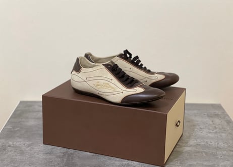 louis vuitton leather shose