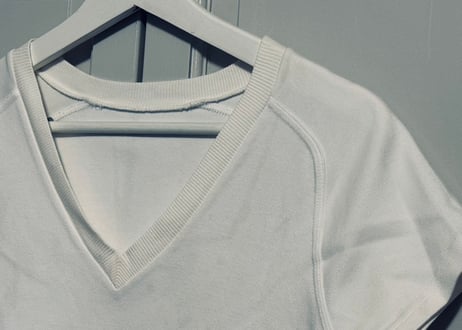 diorhomme by ”Hedi Slimane” 蜂 bee tops