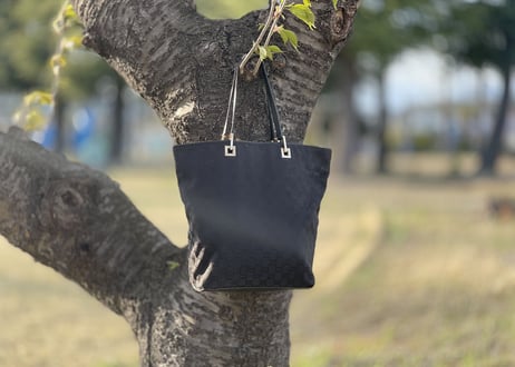 gucci bag