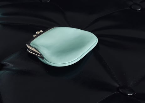 tiffany leather pouch