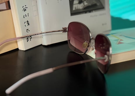 90-00s celine eyewear