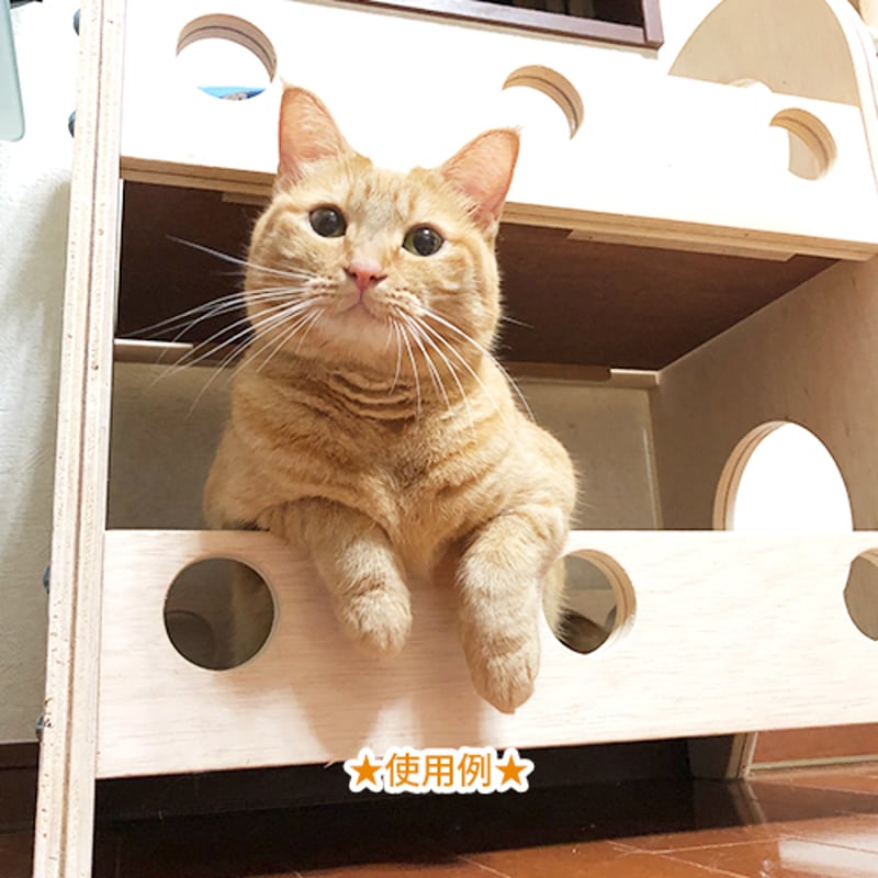 ⑰★キャットハウス?ベッド?★２段ベッド★無垢★猫ちゃんに★無垢材★手作り 楽天市場】猫ベッド 木製 ねこベッド 二層 組み立て式 2段