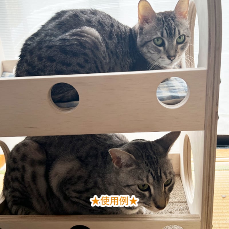 うめたん☆ 様 猫用 爪とぎ 2wayタイプ ★完成品★ うめたん☆ 様 猫用 爪とぎ 2wayタイプ ☆完成品☆ 爪とぎ