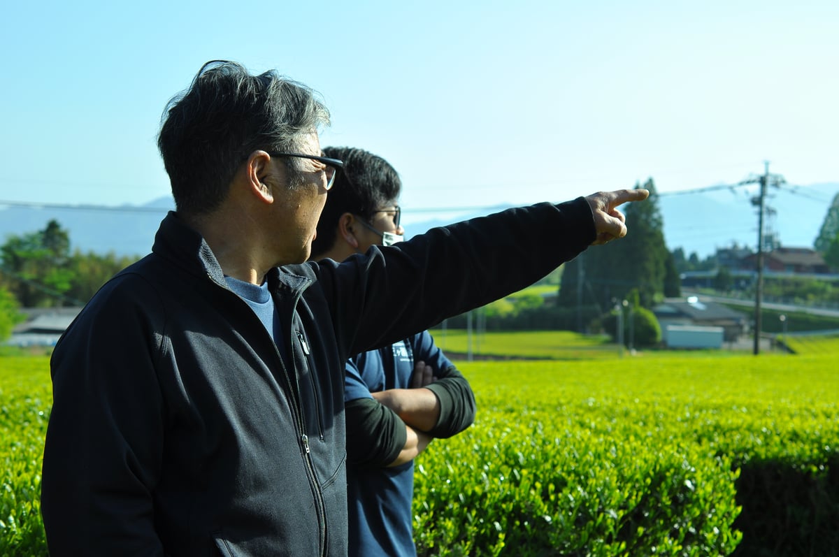 2026年新茶 【JAPAN TEA SELECT】 釜炒茶 50g 宮崎県五ヶ瀬町 | HO