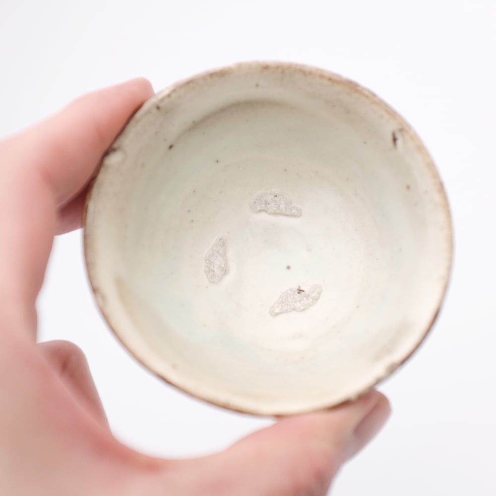 武末日臣先生の鉢 武末日臣先生の鉢