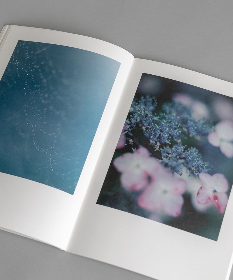 大林直行写真集　おひか 大林直行写真集「おひか」 | Naoyuki Obayashi Online Store