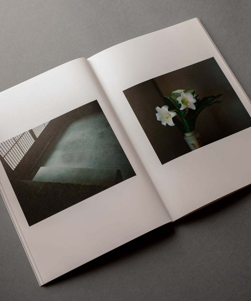 おひか　濃藍　大林直行　写真集 大林直行写真集「おひか 濃藍」 | Naoyuki Obayashi Online Store