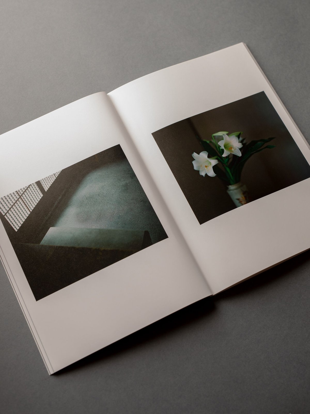 おひか　濃藍　大林直行　写真集 大林直行写真集「おひか 濃藍」 | Naoyuki Obayashi Online Store