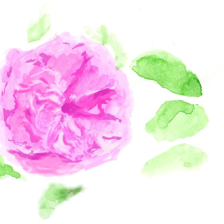 ベイジングソルト　アペザント　240g