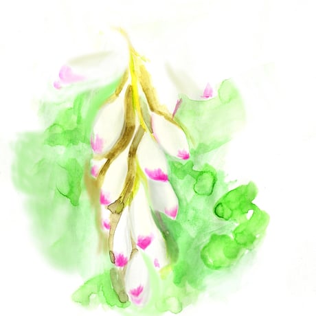 ブリージングミスト　リラクサント　30ml