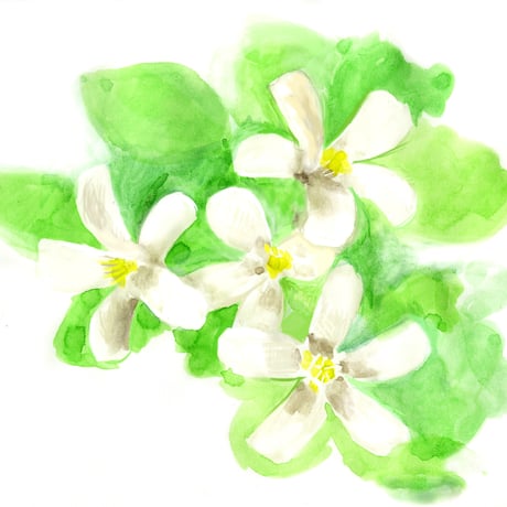 ベイジングソルト　アペザント　240g