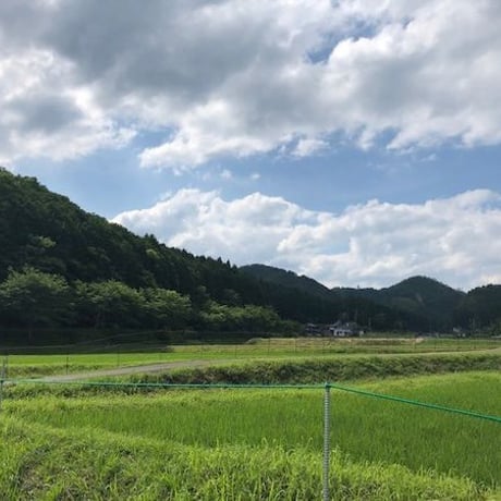 エモリエントバスオイル　トランキリテ  　250ml