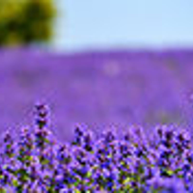 スージングローション 150ml | ALL THAT SPA