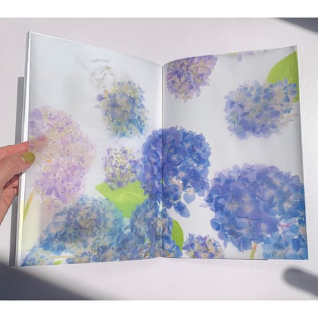 作品集：MINAMI NATSUKI 1ST ILLUSTRATION BOOK