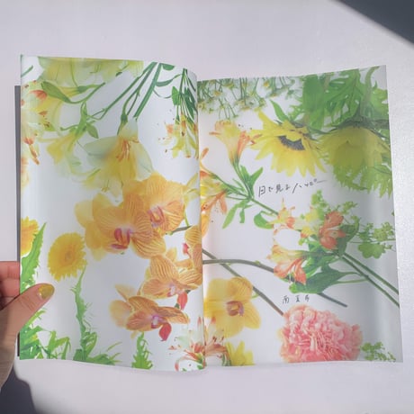 作品集：MINAMI NATSUKI 1ST ILLUSTRATION BOOK