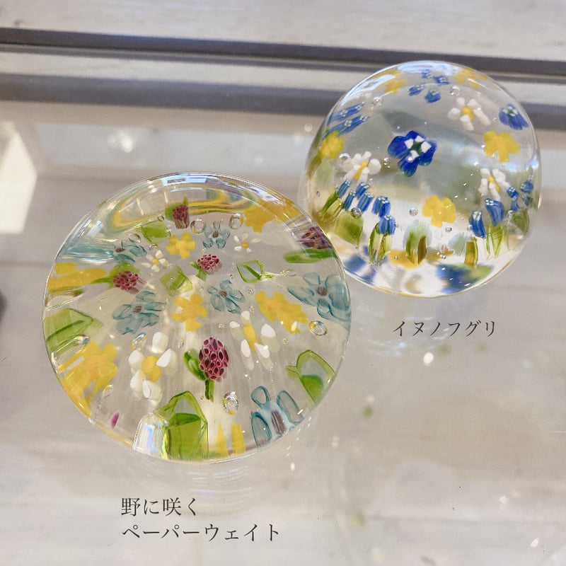 竹下芽衣 ペーパーウェイト | LISULISU STORE