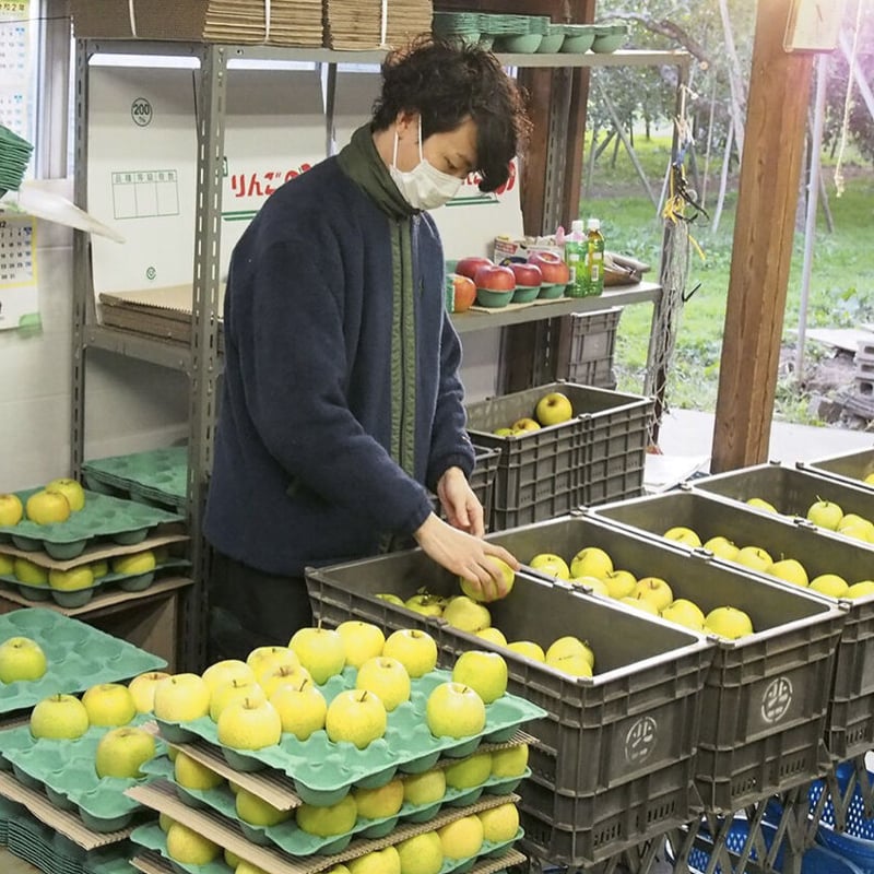 王林(おうりん)】5キロ/約14~23玉/送料無料/産地直送/減農薬で皮