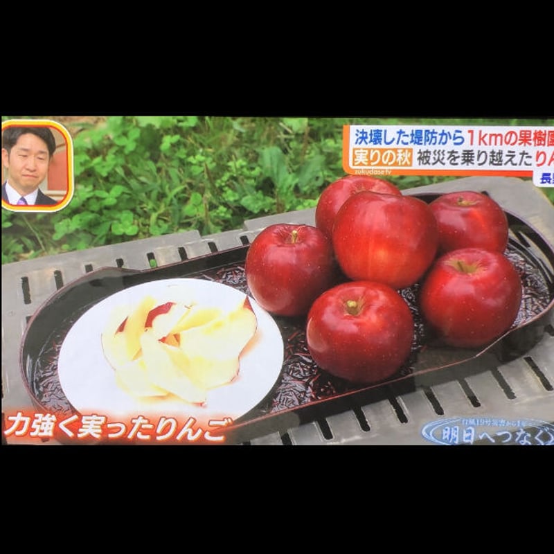 紅玉(こうぎょく)】9キロ/約36~50玉/送料無料/産地直送/減農薬で皮ごと