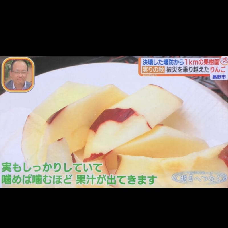 紅玉(こうぎょく)】9キロ/約36~50玉/送料無料/産地直送/減農薬で皮ごと