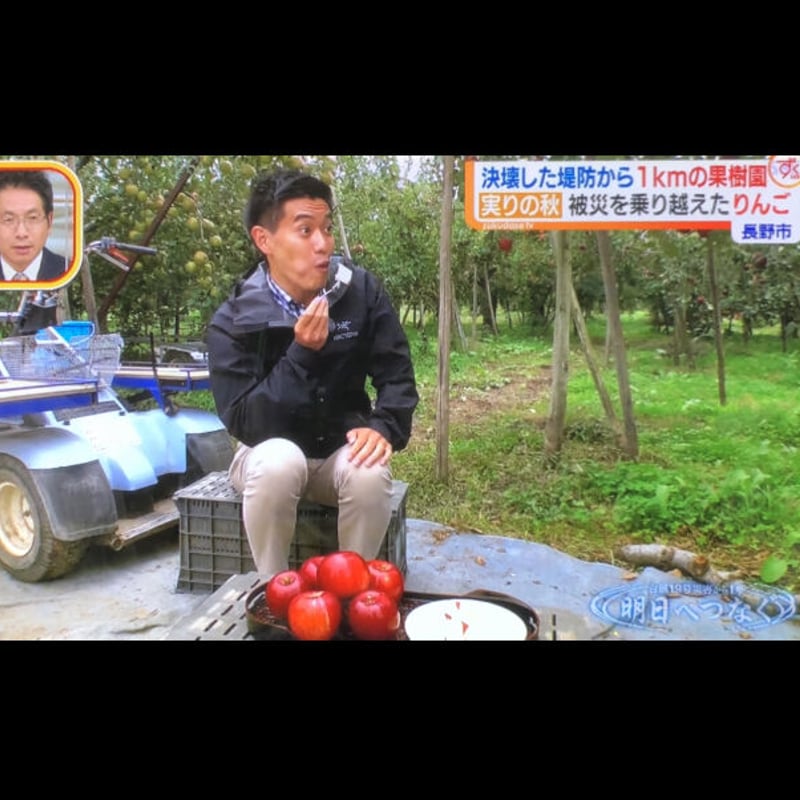 紅玉(こうぎょく)】9キロ/約36~50玉/送料無料/産地直送/減農薬で皮ごと