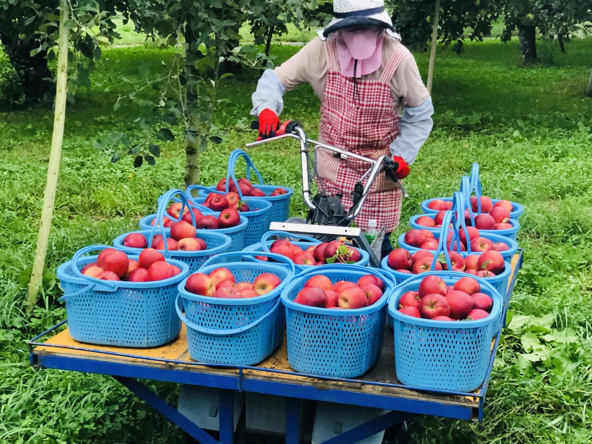 fit=scale-down,w=1200