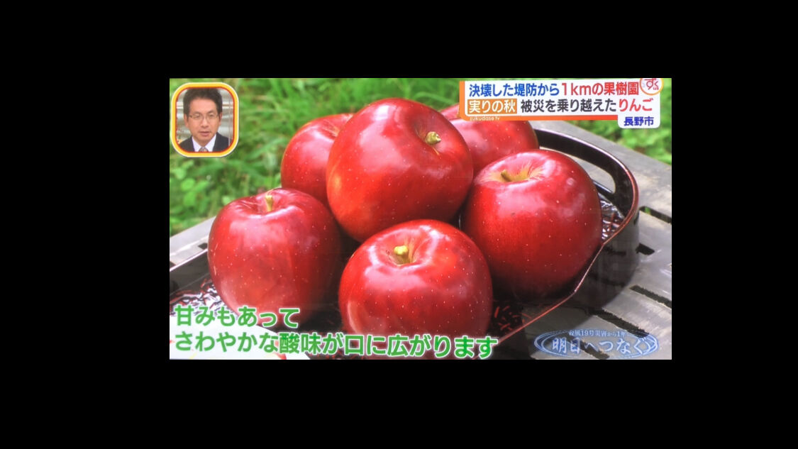 緊急高山産りんご18キロ