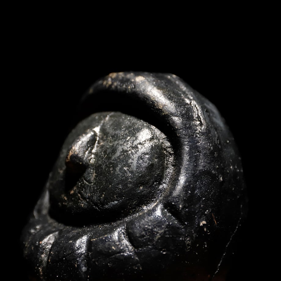 65a112391c3f4f0001e13b38