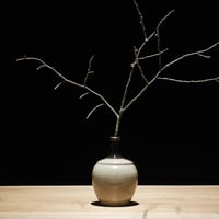 花瓶