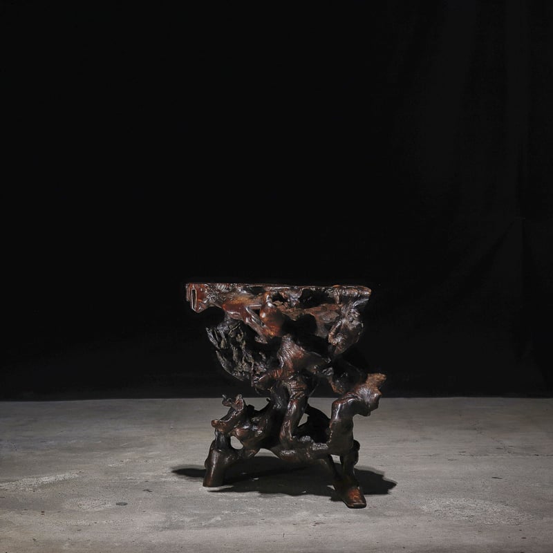 欅 根卓 盆栽 欅 根卓 盆栽