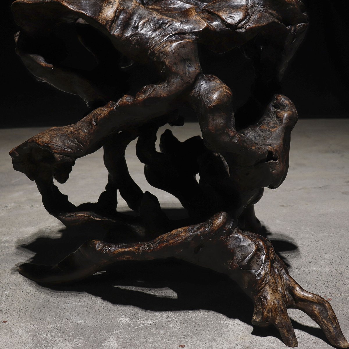 欅　根卓　盆栽 欅 根卓 盆栽 ケヤキ 約80年 | 雨竹亭オンラインショップ