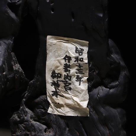 漆黑の御神木