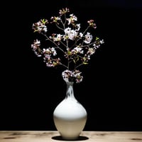 花瓶
