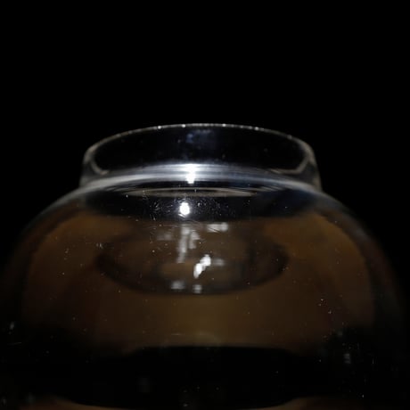 地球瓶