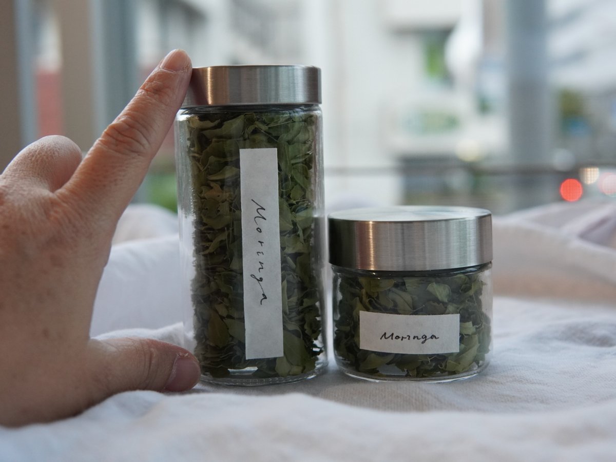 ギフトセット Lsize (リーフtype) | Pani