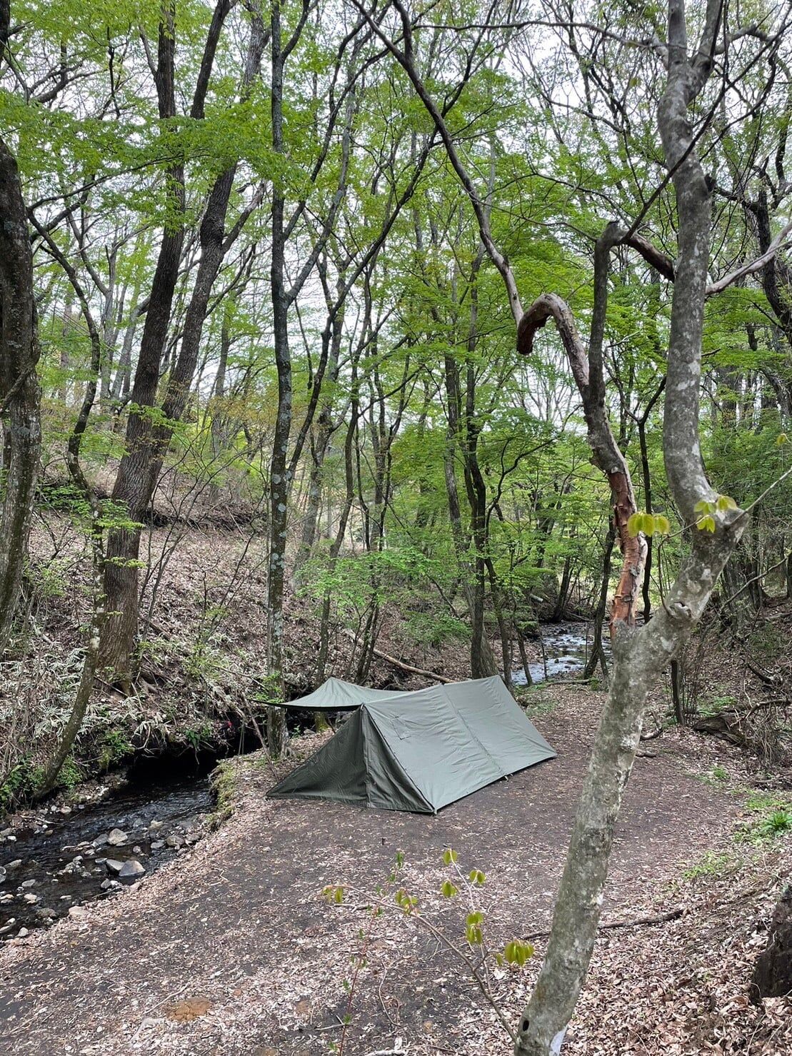 fit=scale-down,w=1200 