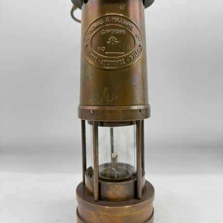 カンブリアンランタン | STORES