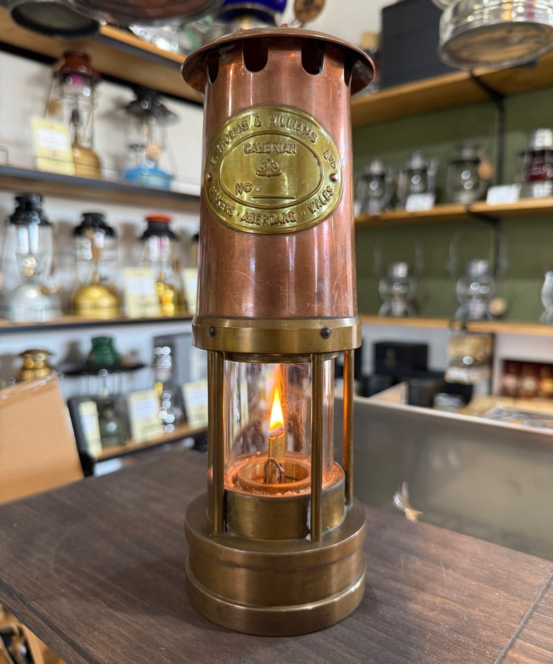 001 E. Thomas & Williams カンブリアンランタン Copper Shi