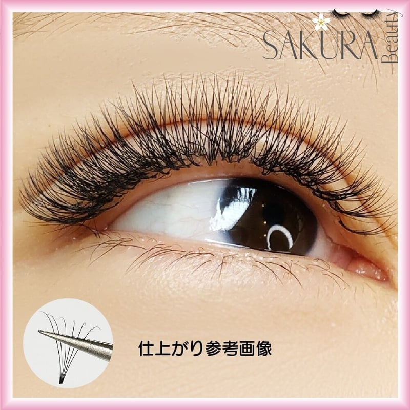 ボリュームラッシュ5Dつけまつげ 5Dプリメイド ボリュームラッシュ 0.07×8-15mm Dカール | SAKURA BE