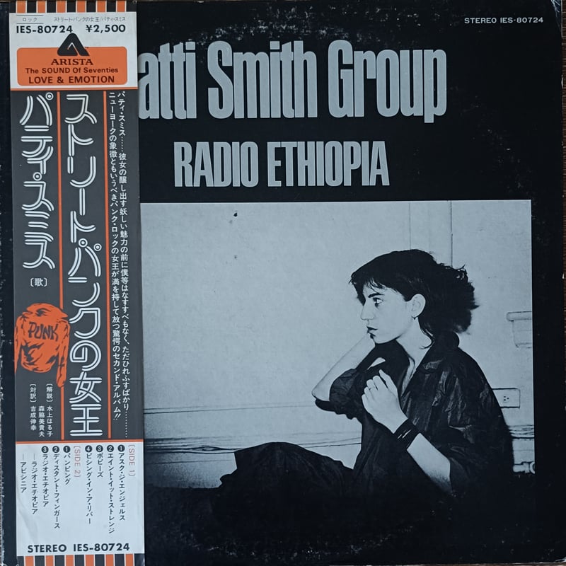 Patti Smith Group / Radio Ethiopia | grunge hou