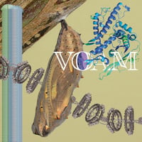 Pariah /  Caterpillar