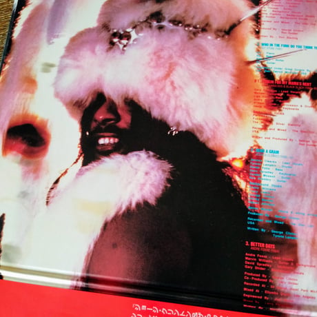 George Clinton And P-Funk All Stars / Go Fer Yer Funk