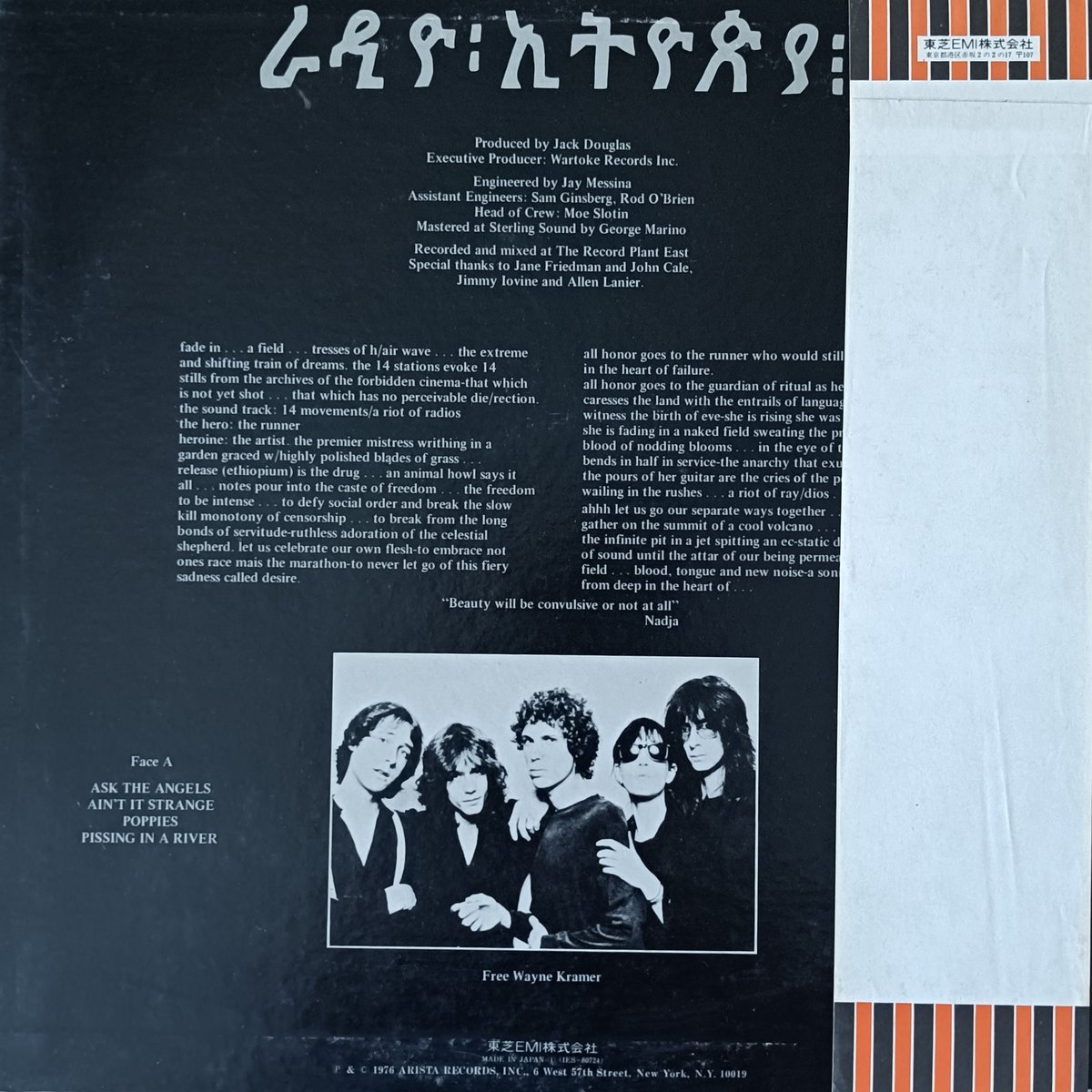 Patti Smith Group / Radio Ethiopia | grunge hou