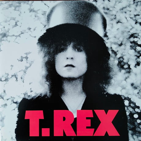 T. Rex / The Slider
