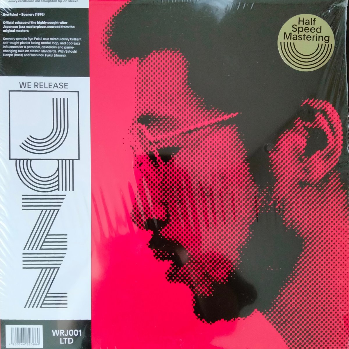 Ryo Fukui Scenery grunge house records