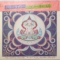 Terry Riley / Shri Camel