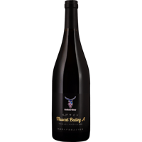 マスカット・ベーリーＡ　2023