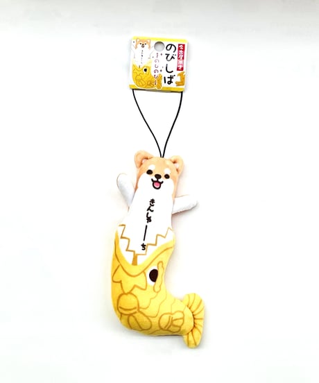 のびしば　きんしゃーち（金鯱）