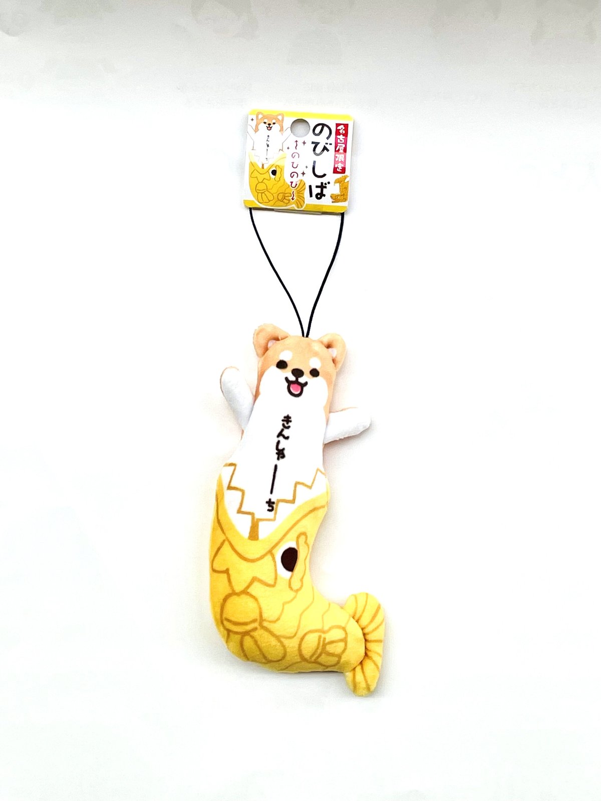 キンシャチ　金鯱　12号　5月20日発送 のびしば きんしゃーち（金鯱） | 大須おみやげカンパニー