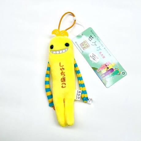 しゃちほこ | STORES