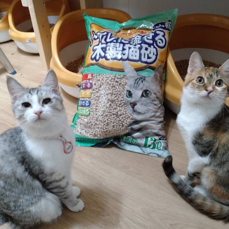 にゃん'ず すとあ～